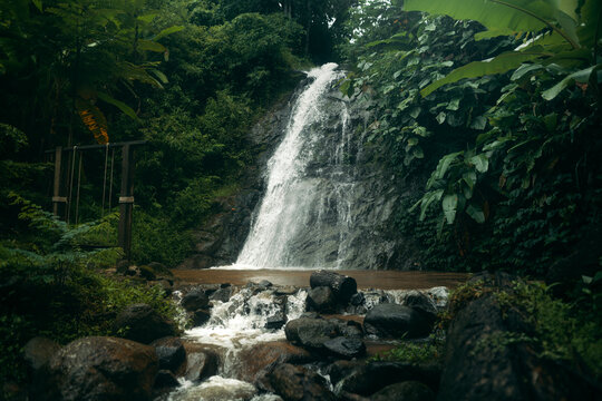 Small Tropical Waterfall with Wooden Swing in Lush Green Jungle