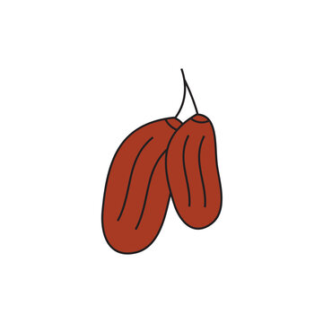 Sweet Dried Dates Fruit Vector Illustration for Ramadan and Healthy Diet.

