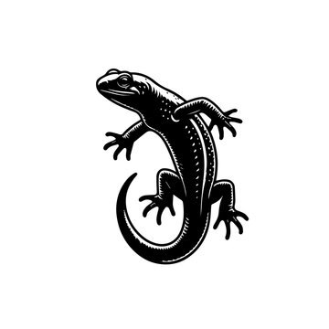 EPS vector illustration file preview with metadata card and pen tool icon