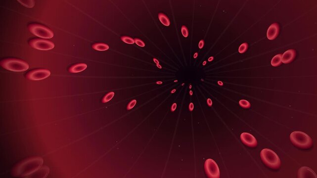 Microvascular Flow Red Blood Cells Circulating in Blood Vessel Loop 4K, Erythrocytes Flowing Through Abstract Capillary Blood Vessel Seamless Backdrop