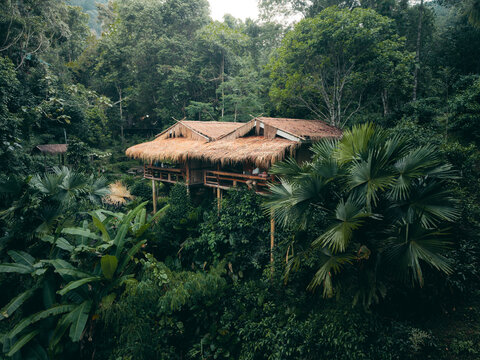 Aerial View of Traditional Eco Resort Hut in Tropical Jungle