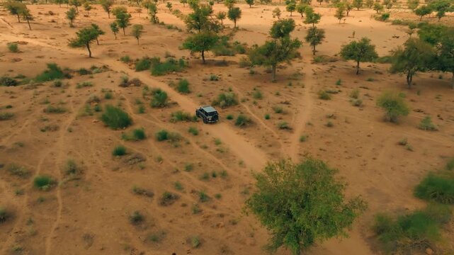 Drone view of a lone 4x4 navigating intersecting sandy tracks through thorn scrub in the Thar Desert, Sindh, Pakistan, surrounded by sparse trees and orange dryland.
