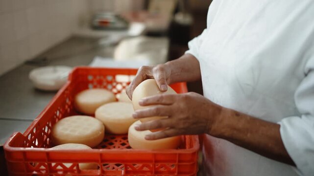Worker placing round cheeses into an orange plastic crate in a dairy production facility, ensuring quality and order