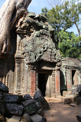 Obraz premium ruined buddhist and hindu khmer temple (ta prohm) in angkor in siem reap in cambodia 