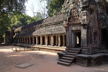 Obraz premium ruined buddhist and hindu khmer temple (ta prohm) in angkor in siem reap in cambodia 