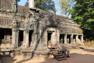 Obraz premium ruined buddhist and hindu khmer temple (ta prohm) in angkor in siem reap in cambodia 