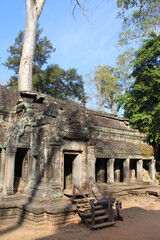 Obraz premium ruined buddhist and hindu khmer temple (ta prohm) in angkor in siem reap in cambodia 
