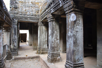 Fototapeta premium ruined buddhist and hindu khmer temple (ta prohm) in angkor in siem reap in cambodia 