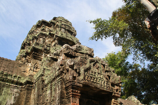 ruined buddhist and hindu khmer temple (ta prohm) in angkor in siem reap in cambodia 