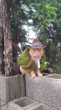 Cute Cat Dressed as a Forest Elf in a Magical Woodland Setting