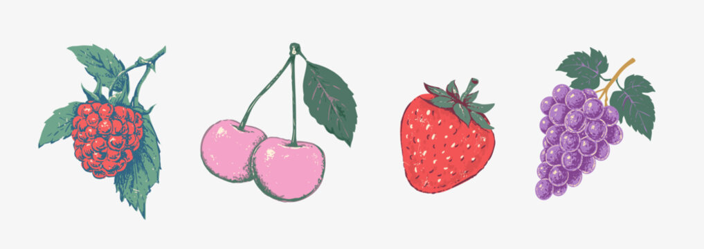 Vintage hand drawn fruit collection featuring raspberry, cherries, strawberry and grapes with decorative leaves in a colorful engraved illustration style.