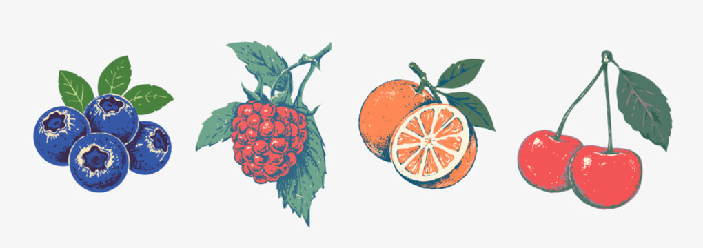 Vintage hand drawn fruit collection featuring blueberries, raspberry, orange and cherries with botanical leaves in a colorful engraved illustration style.