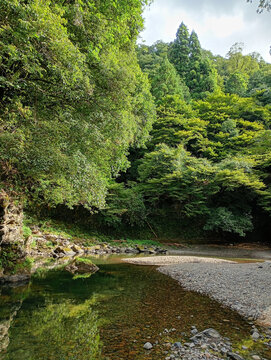 Kyoto Takao trail in Japan. not so much turist yet.