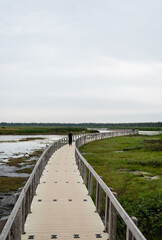 Fototapeta premium Person walking alone on a curving boardwalk over a marsh