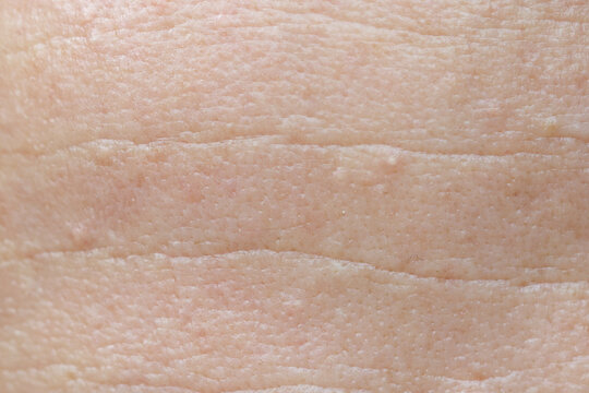 Soft, pale skin texture with fine, natural lines