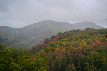 Mist drifting across forested mountain ridges with early autumn colors on a cloudy day in the Bükk Mountains of northern Hungary. © Tibor