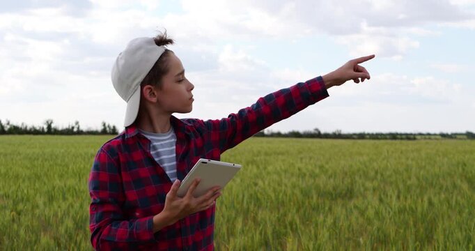 Curious boy explores wheat field with tablet, observing crops and surrounding nature. Outdoor learning combines digital technology and hands-on exploration, showing curiosity, education and childhood.