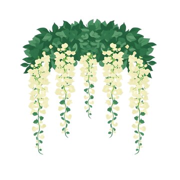 Artificial white wisteria hanging flowers with green ivy garland flat vector line art illustration isolated on white background