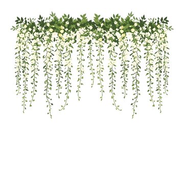 Artificial white wisteria hanging flowers with green ivy garland flat vector line art illustration isolated on white background