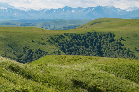 July in the alpine meadows of Karachay-Cherkessia. Russian Federation