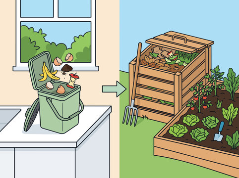 Flat vector diagram illustrating kitchen food scrap collection transferred to an outdoor garden wooden compost bin and vegetable bed.