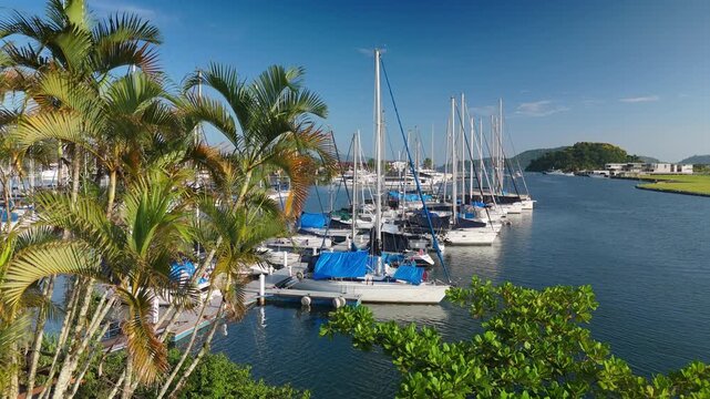 Green, cozy and luxury garden of the Marina Bracuhy near the town of Angra dos Reis in Brazil