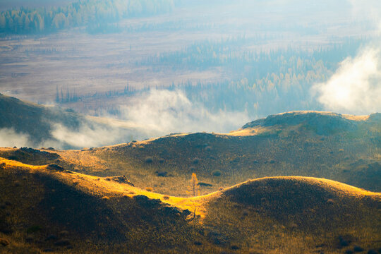 Morning fog in Kurai steppe, Altai mountains, Siberia, Russia. Yellow autumn trees on the hills with clouds at sunrise.