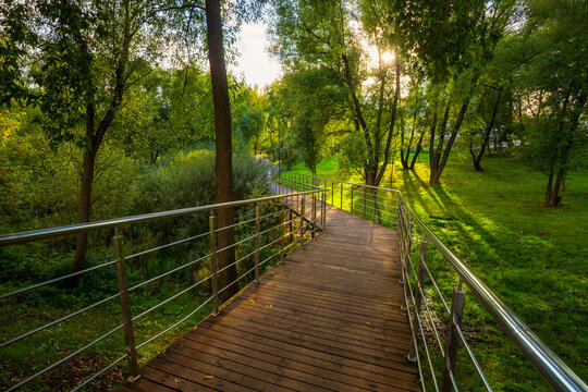 A nature trail in a forest park. A beautiful, winding walking path laid out among the trees. Sunlight filters through the foliage, illuminating the green grass. A well-maintained recreation area.