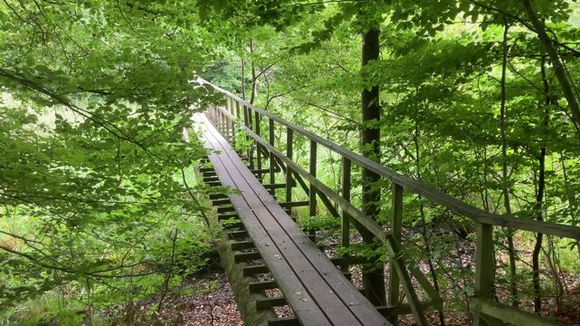 Man running across a wooden bridge in the forest while birds are squawking
