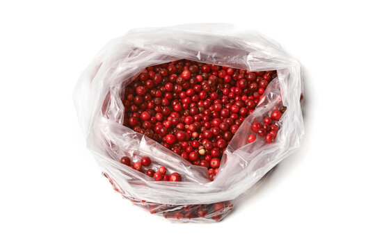 Fresh lingonberries in an open plastic bag, top view against a white background