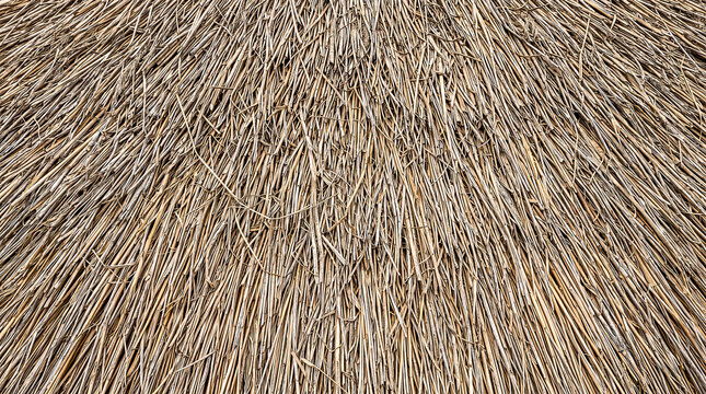 Thatched roof texture made of dry straw and dried grass close up