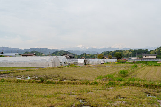 飛騨の田畑（春）　26/5/2撮影