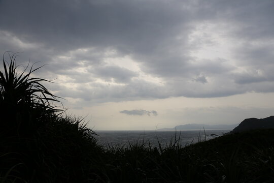 Dark clouds hover over the sea near tropical coastal vegetation.
