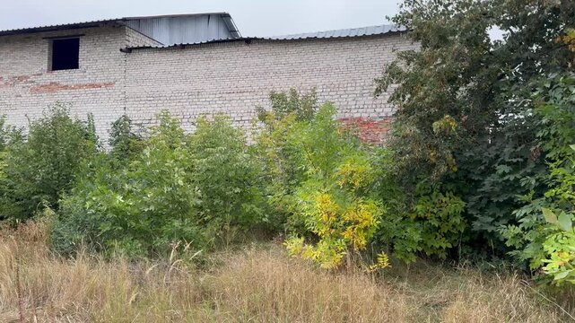 old abandoned house