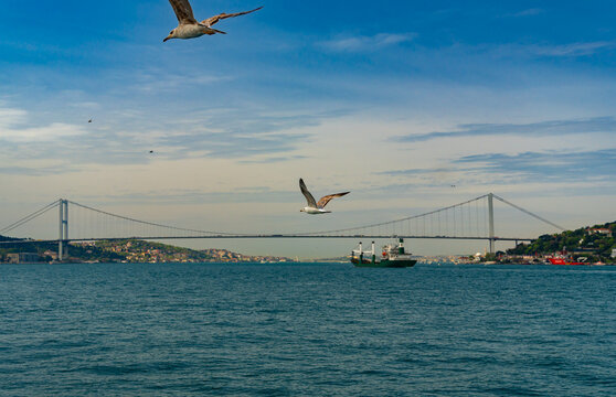Panoramic view of Bosphorus bridge in Istanbul with seagulls flying over blue sea and a cargo ship passing by under cloudy sky