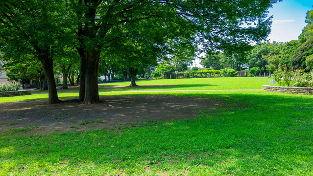 Green Lawn Grass Field and Pedestrian Bridge under Clear Blue Sky in Nogeyama Park Yokohama