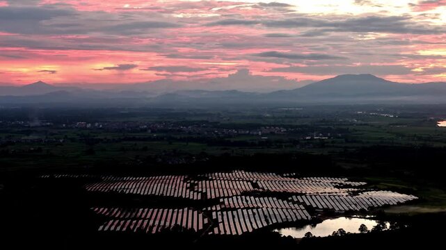 rows of solar panels in agricultural fields during sunset
