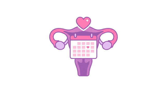 Uterus and ovulation calendar illustration, female reproductive system with heart icon, menstrual cycle tracking concept
