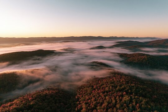 The Forest Landscape Shrouded in Mist at Sunrise Over Rolling Hills
