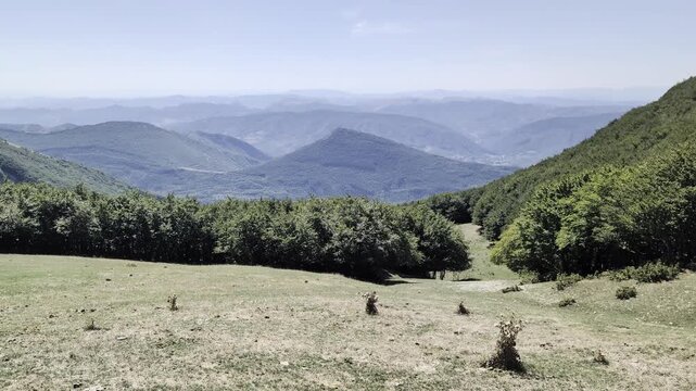 Panorama sui Monti, con dolci colline verdi, fitti boschi e valli incontaminate sotto un cielo limpido estivo