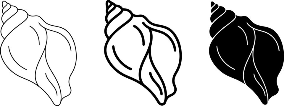 Sea seashell shell collection presenting hand drawn line style and dark filled shape illustrations.