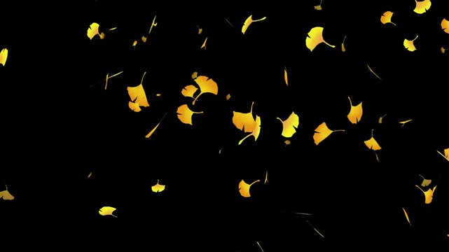 水彩風 黄金色のイチョウが右上から舞う[4K-背景透過] Autumn Series:Watercolor-style golden ginkgo leaves drifting down from the upper right[with Alpha Channel / Transparent Background]4K