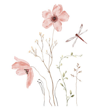 Watercolor Dusty Pink Anemone Flowers with Dragonfly, Seed Pods and Feathery Grasses on White Background. Autumn botanical arrangement with hand painted illustrations. Muted earthy romantic palette