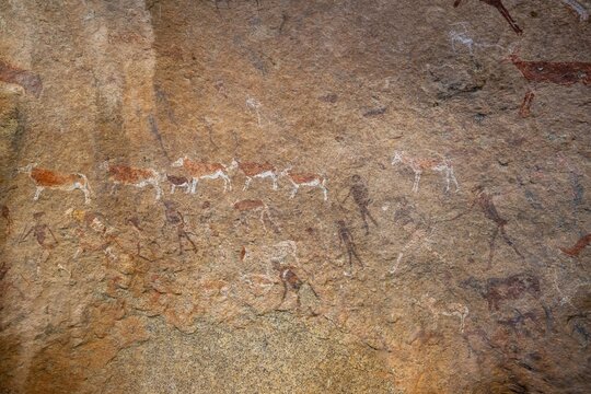 White Lady Rock Painting, White Lady Painting, Depiction of Hunters and Animals, Rock Paintings in Maack's Shelter, Tsisab Gorge, Brandberg, Erongo, Namibia
