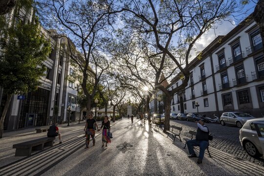 Promenade with benches, promenade, cobblestone avenue, Avenida Arriaga, Funchal, Madeira, Portugal