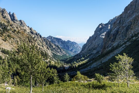 Restonica river flowing at its source through mountain valley, Restonica mountain valley, Corte, Haute-Corse, Corsica, France
