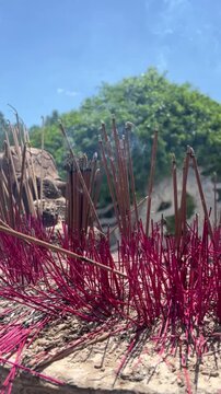 A close-up view of incense sticks in various colors, primarily red, arranged in a natural setting with greenery in the background. Smoke rises gently from the sticks.
