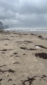 A sandy beach with scattered seaweed and debris. The ocean waves crash against the shore under a cloudy sky. City buildings are visible in the background.