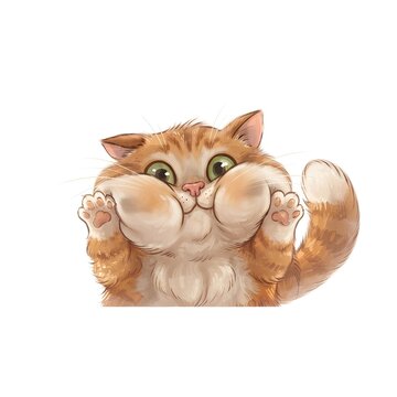 Cute Orange Tabby Cat Pressing Its Squished Face Against Glass