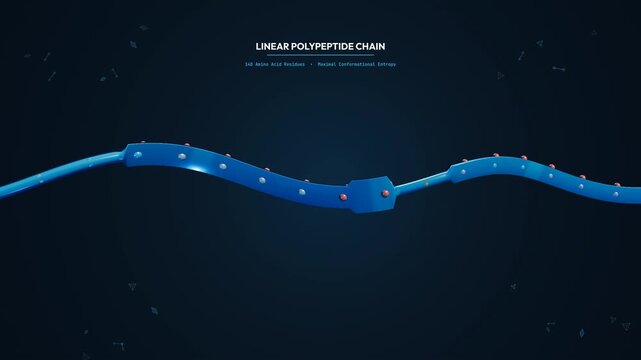 Scientific animation of artificial intelligence protein folding showing conformational sampling from a linear polypeptide chain through tertiary energy collapse into a native 3D globular architecture